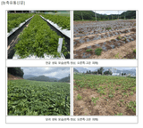 팜모닝 자유주제·자유게시판 게시글 이미지