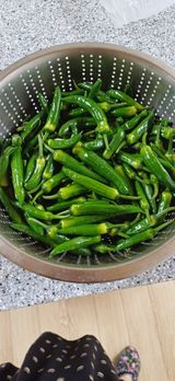 팜모닝 자유주제·자유게시판 게시글 이미지