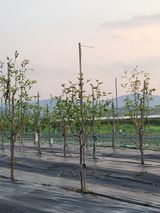 팜모닝 자유주제·자유게시판 게시글 이미지