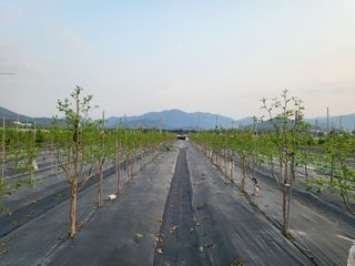 이동엽(양지팜)님의 자유주제 · 자유게시판 작성글 사진
