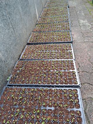 원영국님의 자유주제 · 자유게시판 작성글 사진