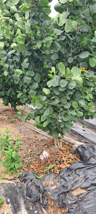 장준재님의 자유주제 · 자유게시판 작성글 사진