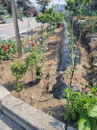 김용대님의 자유주제 · 자유게시판 작성글 사진