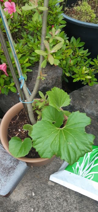 문경필님의 자유주제 · 자유게시판 작성글 사진