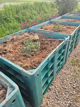 팜모닝 자유주제·자유게시판 게시글 이미지