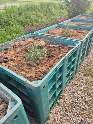 김희국님의 자유주제 · 자유게시판 작성글 사진