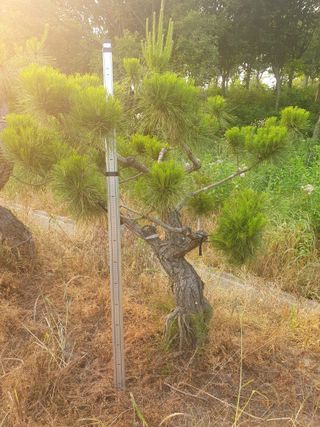 알 수 없음님의 자유주제 · 사진전 작성글 사진