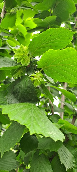 장준재님의 자유주제 · 자유게시판 작성글 사진