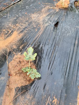 이남신님의 자유주제 · 자유게시판 작성글 사진