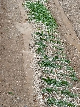 인생은 소풍처럼님의 자유주제 · 자유게시판 작성글 사진