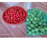 팜모닝 자유주제·자유게시판 게시글 이미지