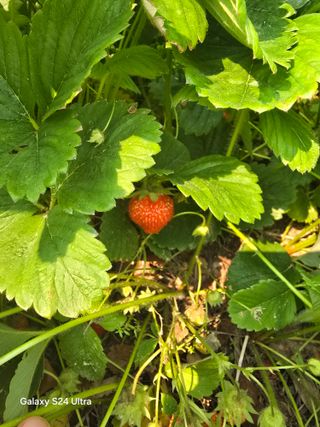 소병찬님의 자유주제 · 자유게시판 작성글 사진