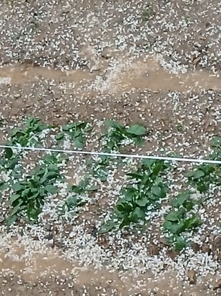 인생은 소풍처럼님의 자유주제 · 자유게시판 작성글 사진