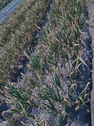 양우택님의 자유주제 · 자유게시판 작성글 사진