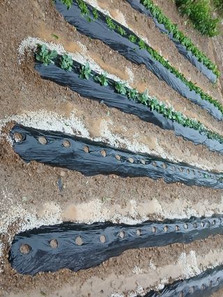 인생은 소풍처럼님의 자유주제 · 자유게시판 작성글 사진