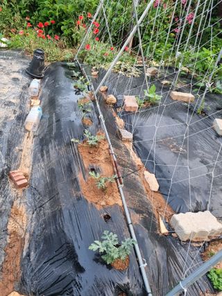 이남신님의 자유주제 · 자유게시판 작성글 사진