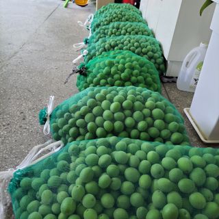 권ㅇㅎ님의 자유주제 · 자유게시판 작성글 사진