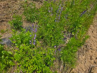 정광일님의 자유주제 · 자유게시판 작성글 사진