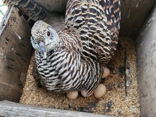 김영복님의 자유주제 · 자유게시판 작성글 사진