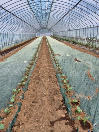 김동규 님의 자유주제 · 자유게시판 작성글 사진