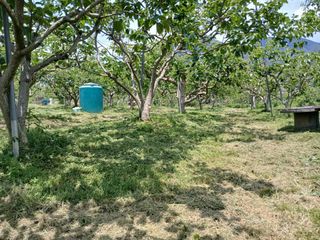 김년욱님의 자유주제 · 자유게시판 작성글 사진