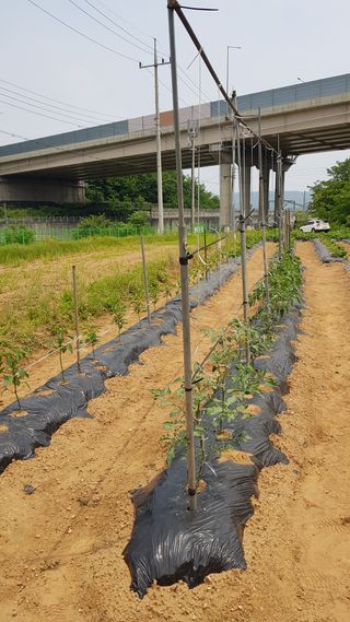 써니님의 자유주제 · 자유게시판 작성글 사진