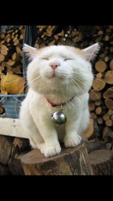 팜모닝 · 게시글 이미지