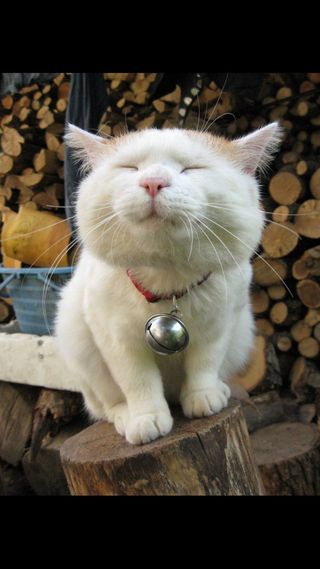 빛그린 김용화님의 작성글 사진