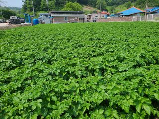 조규진 님의 자유주제 · 사진전 작성글 사진