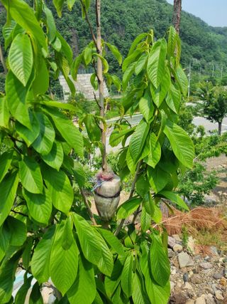 김용대님의 자유주제 · 자유게시판 작성글 사진