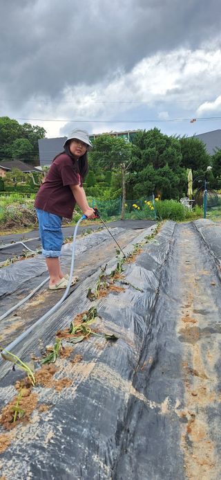김숙희님의 자유주제 · 자유게시판 작성글 사진