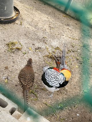 김영복님의 자유주제 · 자유게시판 작성글 사진