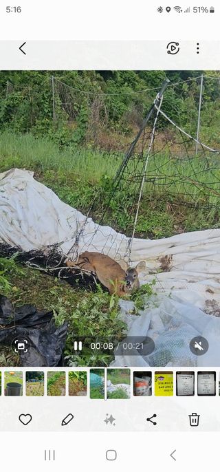 farmer님의 자유주제 · 자유게시판 작성글 사진