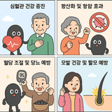 팜모닝 자유주제·자유게시판 게시글 이미지