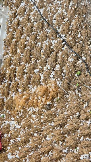 장봉덕님의 자유주제 · 자유게시판 작성글 사진