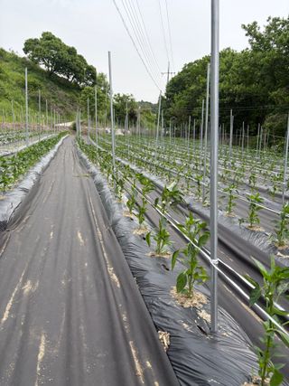 추성호님의 자유주제 · 자유게시판 작성글 사진