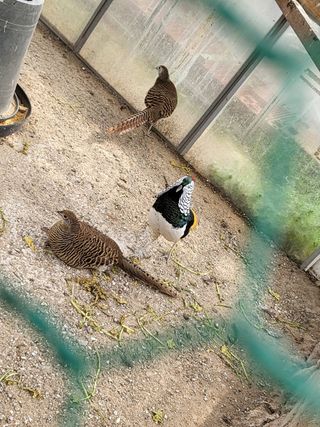 김영복님의 자유주제 · 자유게시판 작성글 사진