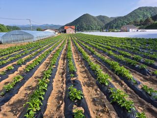 김동규 님의 자유주제 · 자유게시판 작성글 사진