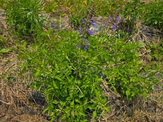 정광일님의 자유주제 · 자유게시판 작성글 사진