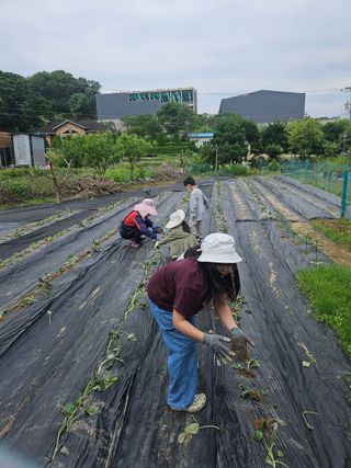 김숙희님의 자유주제 · 자유게시판 작성글 사진