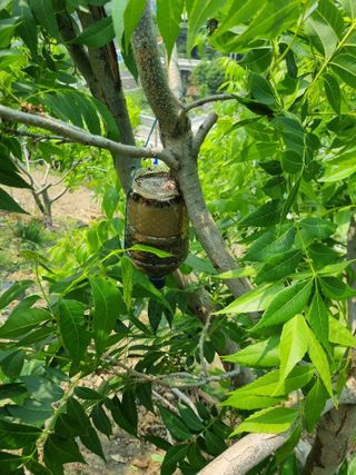 김용대님의 자유주제 · 자유게시판 작성글 사진
