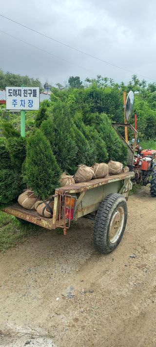 김대현(청솔)님의 작성글 사진