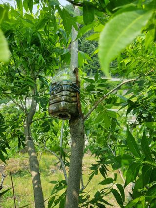 김용대님의 자유주제 · 자유게시판 작성글 사진