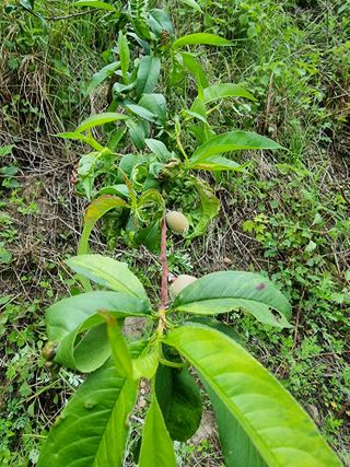 호랑이와인성이님의 자유주제 · 자유게시판 작성글 사진