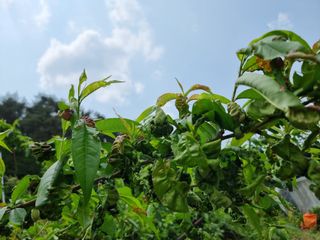 호랑이와인성이님의 자유주제 · 자유게시판 작성글 사진