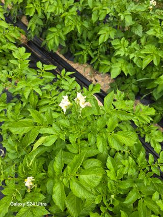 소병찬님의 자유주제 · 자유게시판 작성글 사진