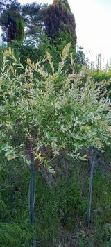 팜모닝 · 게시글 이미지