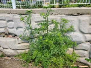 조규진 님의 자유주제 · 자유게시판 작성글 사진