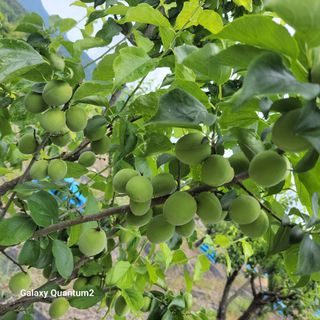 권ㅇㅎ님의 자유주제 · 자유게시판 작성글 사진