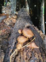 팜모닝 농사, 무엇이든 물어보세요!·참여글 게시글 이미지